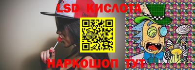 шишки Дмитров