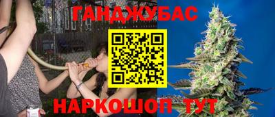 спиды Будённовск