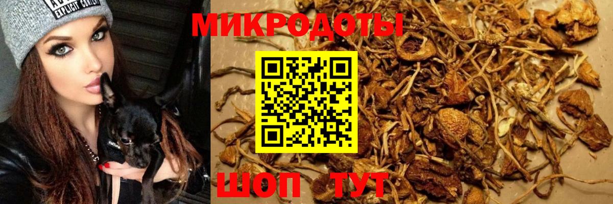 Галлюциногенные грибы мицелий  Галлюциногенные грибы Cubensis  Кулебаки  Вход с VPN 