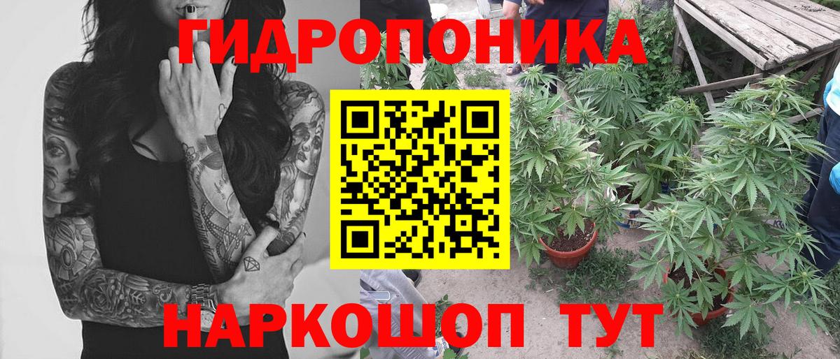 Марихуана планчик  Вход с VPN  Марихуана план  Бошки Шишки тримм  Кулебаки 